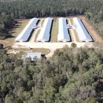 35 Ac- Dale County, AL- Ozark Mega Broiler Farm