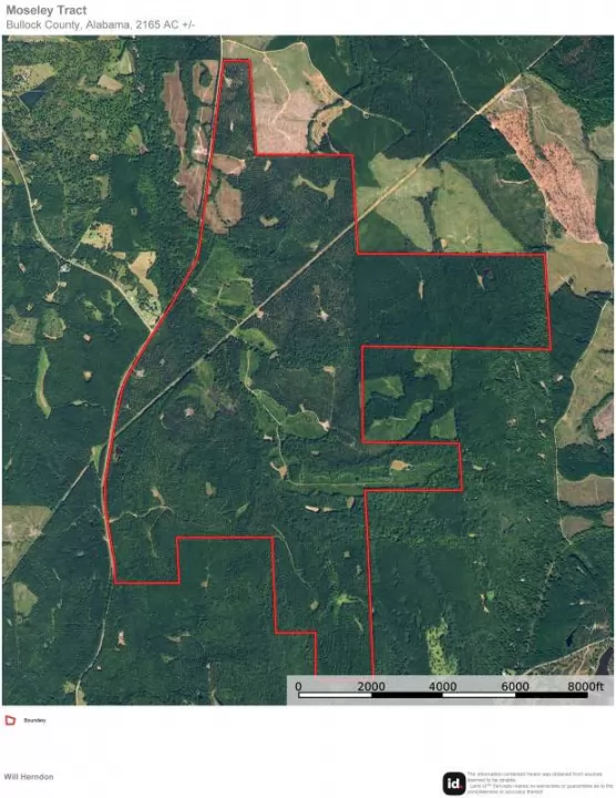 Moseley Tract aerial.jpg