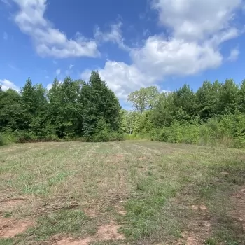 Greene Tract CR 254 - 10ac