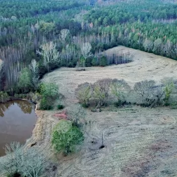 63 +/- Ac - Hale County - Moss Tract at Havana Junction