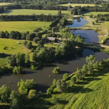 104+/- acres - Houston County, AL - Grace Ranch