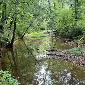 83 +/- Acres - Walker County, AL - Blue Water Creek Tract