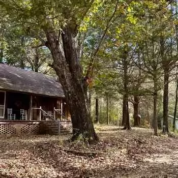 46 +/- Acres - Pickens County - Salem Tract