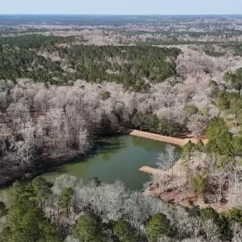 279+/- acres - Dale County, AL - Little Claybank Tract