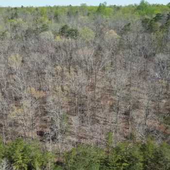 4.5 +/- AC - St. Clair Co - Pine Mountain Tract