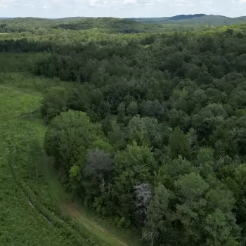Tranquil 79-Acre Pasture and Timber Retreat in Youngtown, Alabama