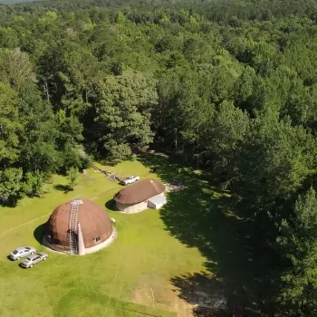 110 Ac- Covington County, AL- Attisano Farm