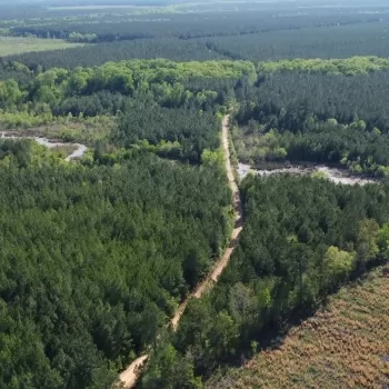 160 +/- Acres - Kemper County - Bodka Creek Tract