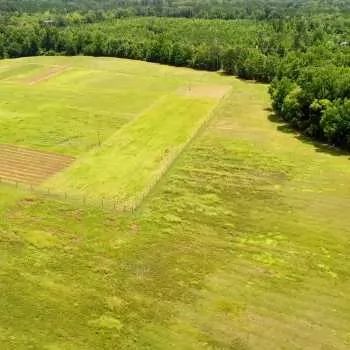 63 +/- Ac - Greene County, AL - CR 69 Forkland Tract