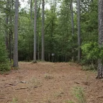 123 Acre - Agricola Tract - Tallapoosa County