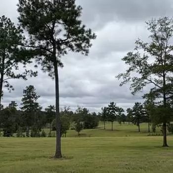 212 acres - Russell County - Ridge Road Farm