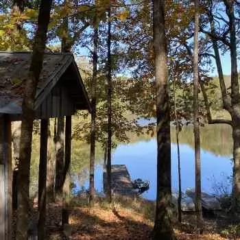 577 acres - Macon County - Fuller/Kelley Tract