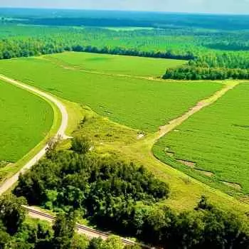 718 Acres-Escambia County-Wawbeek Farm