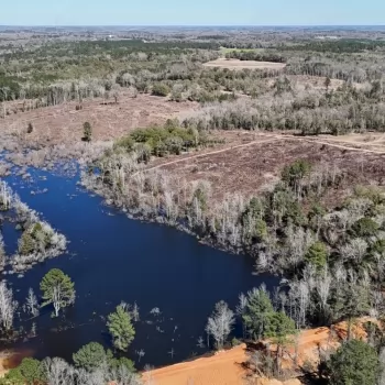 67+/- acres - Dale County, AL - Ammons Pond Tract