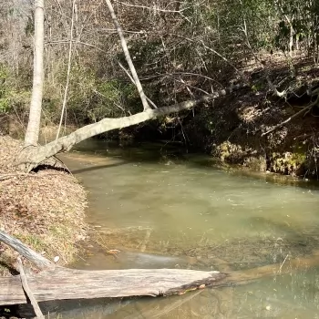 38 +/- Ac - Autauga County, AL - Ivy Creek Recreational Tract