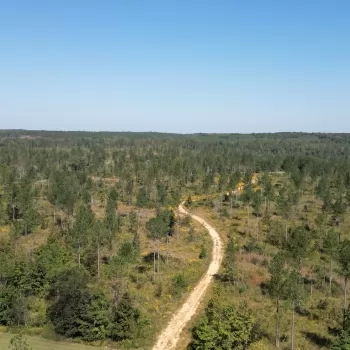 2175 Ac - Colbert County, AL - Pleasant Site Hunting Farm