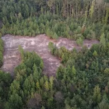 20 +/- Acres - Kemper County - Sam Helton Rd Tract