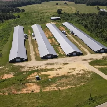 36 Ac- Coffee County, AL- Coffee Springs Mega Farm