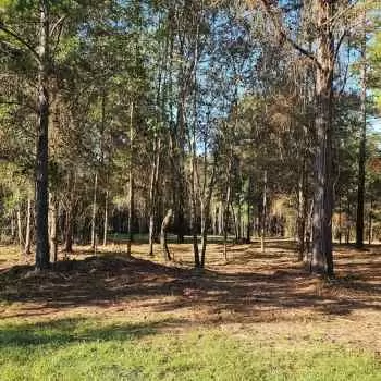 130 +/- Ac - Hale County - Havana Junction Farm Parcel #1