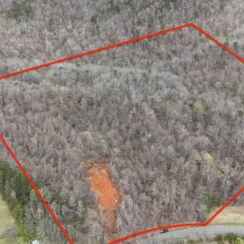 40 +/- acres - Cullman County - CR 522 Tract
