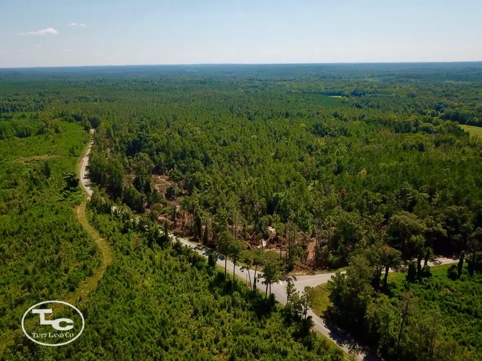 Photo Aug 18 2024, 7 38 22 PM.jpg