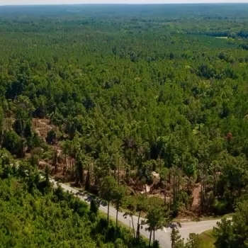 185 Acres-Wilcox County- Allenton Tract