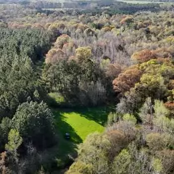 Wrights Creek Tract - 180 Ac - Geneva Co. Al