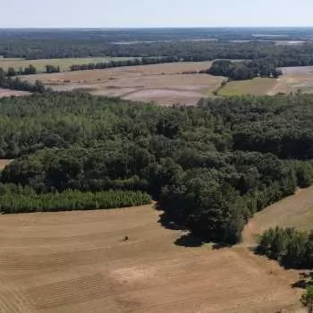 68 Ac- Coffee County, AL- Kinston Farm