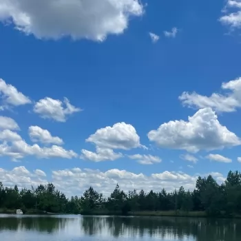 306 +/- Acres - St Clair County, AL - Shoal Creek Tract