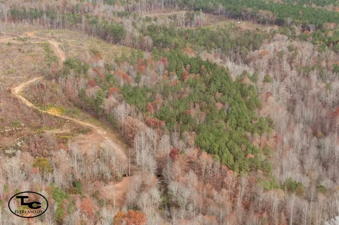 630 ac - Walker County - Curry Property (WM)70.jpg