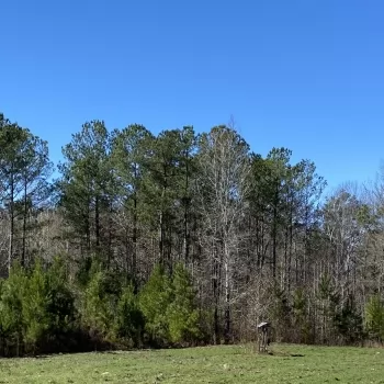 154 Acres - Monroe Co. - The Duck Hole