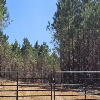 15 ac - Butler Co - Me O My O Mini Farm