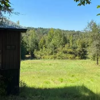 60 Acres - Bibb Co. - The LM Tract