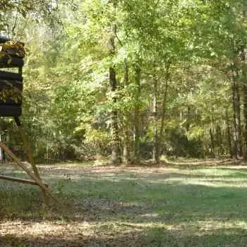 102 Acres - Autauga County, AL - Timberland Retreat
