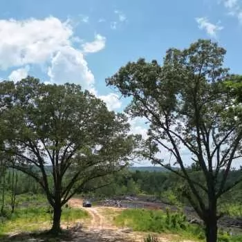 56.35 Acres - Hale County - Gameday Retreat