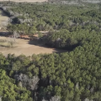 8 Acres - Fayette County - McCullough Tract