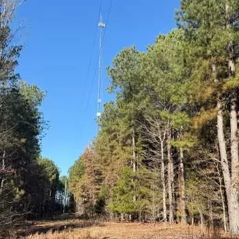 46 +/- ac - Lamar County, AL - Cell Tower Tract