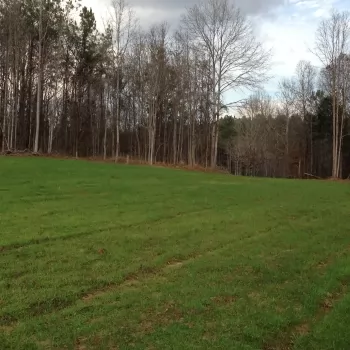 40 +/-  Ac - Marengo County, AL - Timber/Hunting Tract Pinhook Road