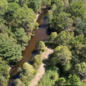 141+/- - Jackson County, FL - Williams Farm