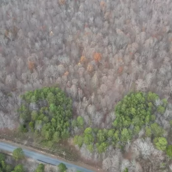 38 +/- Ac - Jackson Co - CR-39 North Tract