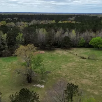 33 +/- Ac - Dallas County, AL - Five Points Pasture