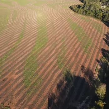 13.5 Ac- Coffee County, AL- County Road 529 Homesite (Parcel 4)