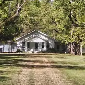 75.38 +/- Ac - Hale County - Havana Junction Farm Parcel #6