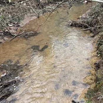 Buck Trails Tract - Parcel 3