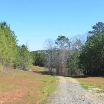 Halsell Hunting Retreat-337ac-Choctaw Co, AL