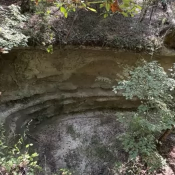 10 +/- Acres - Wilcox County, AL - Legacy Shores Lot 51