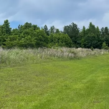 3 +/- Ac - Wilcox County, AL - Legacy Shores Lot 44