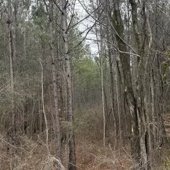 Buck Trails Tract - Parcel 2