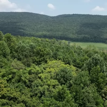 550+/- Acres - Jackson County - Mountain View Tract