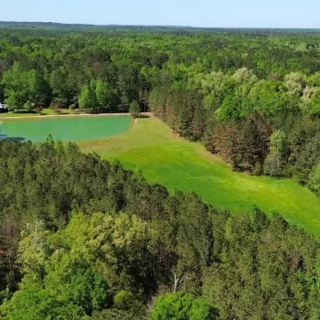 613 +/- Ac - Greene County, AL - Crawford Fork Tract